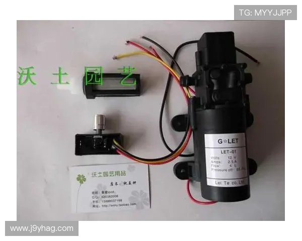 利来ag国际厅多样化游戏体验,满足不同玩家的娱乐需求与挑战欲望 利来ag国际厅多样化游戏体验,满足不同玩家的娱乐需求与挑战欲望