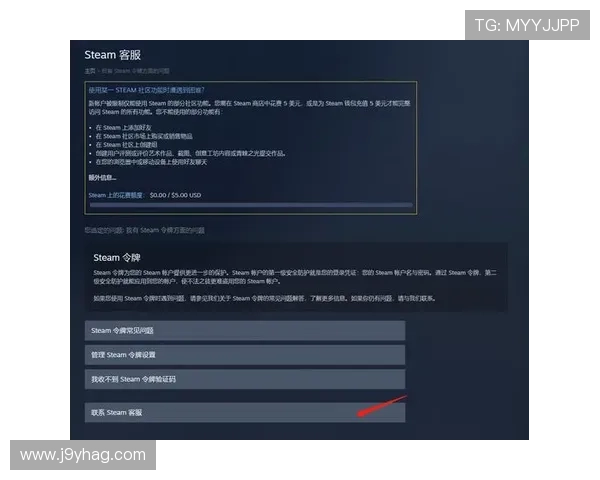 掌握9游官方入口登录技巧，轻松解决登录失败与账号安全问题的实用攻略